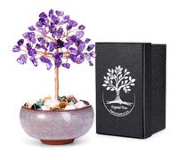 CrystalTears Amethyst Crystal Tree for Home Office Desk Decor, Purple Gemstone Money Trees with Ceramic Bowl, Healing Crystal Tree of Life Ornament, Spiritual Birthday Gifts for Women Men Christmas