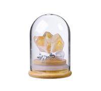 CrystalTears Citrine Crystal Ornament for Reiki Meditation Home Office Desk Decor, Raw Citrine Crystals and Healing Stones in Glass Dome, Spiritual Crystal Gifts for Women Men Witchcraft
