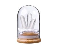 CrystalTears Clear Quartz Crystal Ornament for Reiki Meditation Home Office Desk Decor, Raw Rock Quartz Crystals and Healing Stones in Glass Dome, Spiritual Crystal Gifts for Women Men Witchcraft
