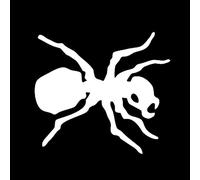 CS31960 Various Sizes Die Cut Vinyl Decal Prodigy Car Sticker Waterproof Auto Decors on Car Body(3)