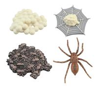 Csafyrt Life Cycle Toys for Kids Spider Full Life Cycle Kids Educational Toys Safariology Learning Toys Develops Imagination for Kids Toddlers and Animal Lovers