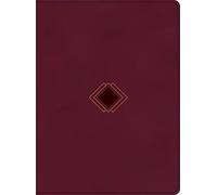 CSB Day-By-Day Chronological Bible, Burgundy Leathertouch