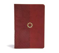 CSB Essential Teen Study Bible, Walnut Leathertouch