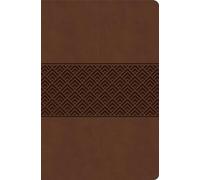 CSB Everyday Study Bible, Brown Burnished, Global