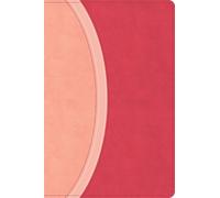 CSB Rainbow Study Bible, Pink LeatherTouch, Indexed