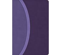 CSB Rainbow Study Bible, Purple LeatherTouch (Limited Edition)