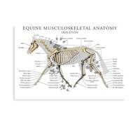 CSESTCGN Poster of Horse Musculoskeletal Anatomy Medical Art 1 Canvas Poster Bedroom Decor Landscape Office Room Decor Gift 12x18inch(30x45cm)
