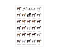 CSESTCGN World Horse Breeds Art Poster 1 Canvas Poster Wall Art Decor Print Picture Paintings for Living Room Bedroom Decoration 12x18inch(30x45cm)