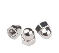 CSFFA 10pcs/lot Acorn Cap Nut M3 M4 M5 M6 M8 M10 M12 M14 M16 M18 A2-70 Stainless Steel Decorator Nuts Caps Covers(M16)
