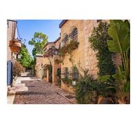 CSFOTO 7x5ft Jerusalem Old City Street Backdrop Israel Old Stone Wall House Building Background Street Plant Flower Landscape Background for Photography Jerusalem Spring Travel Portrait Photo Props