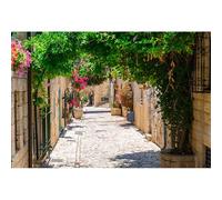 CSFOTO 7x5ft Jerusalem Old Narrow Alley Backdrop Jerusalem Stone Wall Building Backdrop Israel Spring Plants Flowers Street Landscape Background for Photography Wailing Wall Event Decor Banner