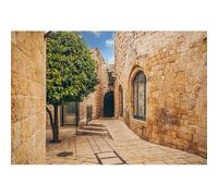 CSFOTO 7x5ft Jerusalem Retro Town Backdrop Ancient Slate Street Stone Wall Architecture Background Israel Old City Fruit Trees Background for Photography Room Decoration Wallpaper