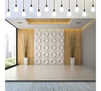 CSFOTO 8x6.5ft Interior Room Backdrop Modern Office Decoration Background for Photography Living Room Decor 3D TV Wallpaper Interior Decoration French Windows Adults Portraits