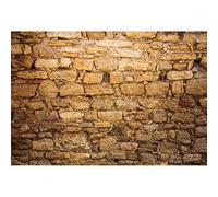 CSFOTO Western Wall Backdrop, 6x4ft, Vinyl, Building001-TBK33086, for Graduation, Wedding, High Resolution, Glare Free