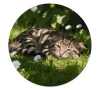 CSGJMYGS Cute Cats Round Flannel Throw | 59.1 Inch Single Sided Circular Soft Blanket, Compact Foldable Flannel Spread for All Indoor Outdoor Rest Moments