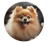 CSGJMYGS Pomeranian Dog Round Flannel Throw | 59.1 Inch Single Sided Circular Soft Blanket, Compact Foldable Flannel Spread for All Indoor Outdoor Rest Moments