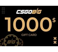 CSGOBIG Gift Card 1000 USD Key - GLOBAL
