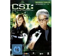 CSI: Crime Scene Investigation: Season 12 / Episoden 01-12