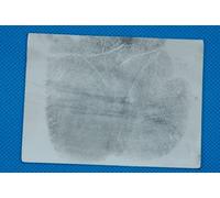CSI Fingerprint/Palmprint Gel Lifters, Picking Up Latent Fingerprint Impressions, Crime Scene Forensic Supply,5 pcs/Pack (White Palmprint 76×102mm)