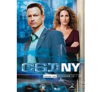 csi: NY season 2,2