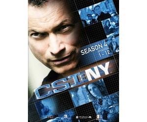 CSI: NY - Season 4.1 (3 DVDs)