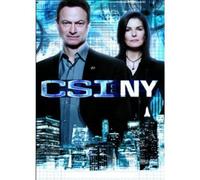 CSI: NY - THE FINAL SEASON - CSI: NY - THE FINAL SEASON (5 DVD)