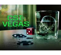 CSI: Vegas Season 3