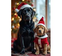 CSP Countryside Greetings Christmas Card, Labrador Mum and Puppy Design, A5 Size 21 x 15 cm, Blank Inside