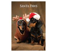 Csp Miniature Dachshund Pair Christmas Card -