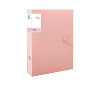 CSSHNL Box Files 2pcs Multifunctional A4 File Organizer Box Thickened Desktop Storage Box PP Plastic Dustproof Office Supplies Archives(B)