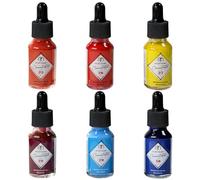 CSY Art Gallery Multi-Purpose Liquid Watercolour Inks,Suitable for Artists and Students -Watercolour Paint Ink Compatible with Pain tbrushes,Airbrushes and Paint Markers (Foundation Master Set)