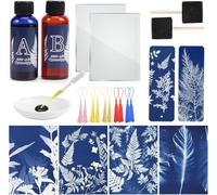 Csyidio Cyanotype Kit, Sun Print Nature Printing Kit | Includes 2 Component Sensitizer Set, 40 Sheets A5 Paper Brush Tools for Photographic Blueprints DIY Arts Crafts Projects