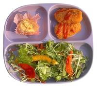 CSYQPDMBDL Divided Dinner Plates, Portion Control Plates, Divided Snack Serving Platte, Portion Divided Plate for Pastas/Vegetables/Fruits, Ceramic Simple Tray(Purple)