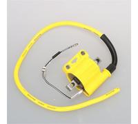 CTAB 2T/4T Motorcycle Ignition Coil Universal Racing Coil For ATV Scooter Moped Go Kart Dirt Bike Yamaha Ktm Engine Ignition(SILVER)