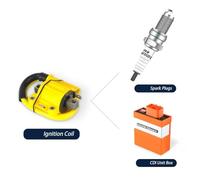 CTAB CDI Box Ignition Coil CDI Racing For ZhongShen NC250 NC300 Engine D9RIV Iridium Spark Plugs Set Off-road Motorcycles Parts(CDI Ignition set)