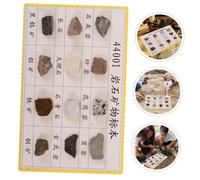 CTIRCHIU 12 Pcs Mineral Rock Specimens Rock Collection Display for Specimen for Laboratory for Collecting Science Classroom Plastic
