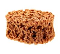 CTIRCHIU Natural Sponge for Painting Versatile Artist Sponge Tool for Creating Unique Visual Effects on Walls and Canvas for Acrylic Watercolor Pottery and Ceramics Art Projects