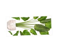 CTIRCHIU Potted Plant Wall Sticker Vivid Bonsai Decal for Nursery Bedroom Easy Peel and Stick Faux Foliage for Living Room No Residue Indoor Plant Wall Art