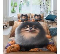 CTJQHVKZ 3D Printed Cute Pomeranian Pumpkin Fitted Sheet Microfiber Soft Bed Cover for Bedroom Dorm Mattress Decor Protection Single（135x200cm）
