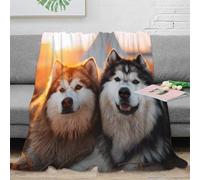 CTJQHVKZ 3D Printed Siberian Husky Couch Blanket Microfiber Warm Soft Bedding Cosy Wilderness adventure Living Room Throw Anti Static Wrinkle Free for Families Households Guests 80×90inch(200x230cm)