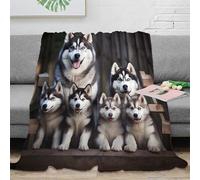 CTJQHVKZ 3D Printed Siberian Husky Lounge Throw Microfiber Warm Soft Bedding Breathable Family Pet Bedding Blanket Wrinkle Resistant Non Pilling for Families Guests Teens 80×90inch(200x230cm)