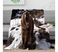 CTJQHVKZ 3D Printed Wild bear roaring Couch Blanket Warm Soft Bedding Nature wildlife scene Cozy Throw Blanket Wrinkle Resistant Non Pilling for Dorm Dwellers University Students 80×90inch(200x230cm)