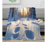CTJQHVKZ 3D Printed Winter trail Throw Blanket Microfiber Ultra Soft Warm Bedding Snowy forest scene Lounge Throw Anti Static Non Pilling for Couples Families Guests 80×90inch(200x230cm)