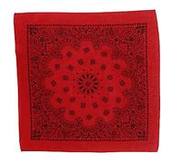 CTM 27 Inch Austin Paisley Print Bandana, Red/Black