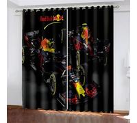 CTQTZ F1 Racing Curtains Extreme Sports Blackout Curtains 46 x 90 Inch 2 Panels Eyelet Blackout Thermal Insulated Window Drapes for Living Room Bedroom kids Room