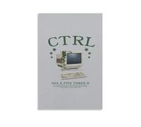 Ctrl by SZAWaterproof Poster Wall Painting Canvas Decorative Painting Suitable for Office Bedroom Decoration Living Room PosterUnframe-style24x36inch(60x90cm)