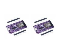 CTRLZS 2X RTL8720DN Dual-Band WiFi Bluetooth Module NICEMCU BW16 Development Board Onboard Antenna, Unwelded
