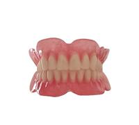 CTTQIBUIN Oral Denture Tooth Model, Upper Teeth and Lower Teeth Model, Mouth Tooth Model Denture Model for Kids or Dentist Students Demonstration Teaching Studying Tool.