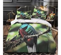CTYQKZVPM exotic bird perched 3D Printed Duvet Cover 3pc Premium Microfibre Easy Care colorful tropical avian Quilt Cover 2 Pillowcases Concealed Zipper Bedding Couples Families King（220x240cm）