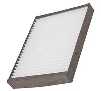 Mann Filter Cabin Air Filter CU 2513 – Behind Glove Compartment, Particulate, H31 x L260 x W198 mm